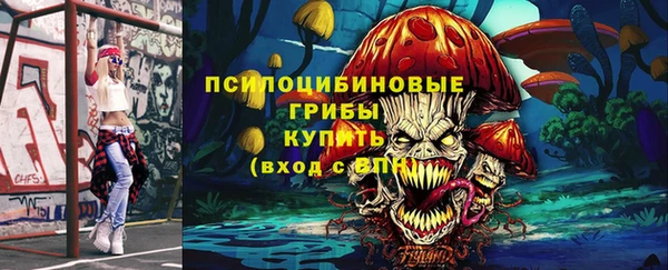 стаф Гусиноозёрск