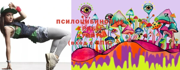 стаф Гусиноозёрск