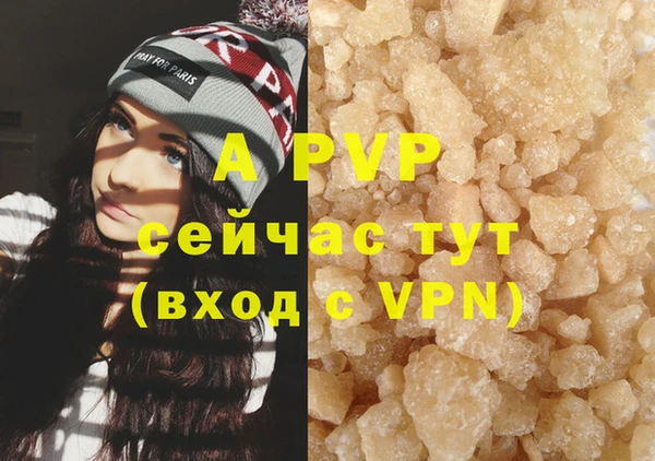 МДПВ Вяземский