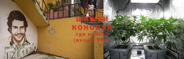 стаф Гусиноозёрск